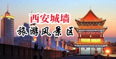 www.cn逼中国陕西-西安城墙旅游风景区