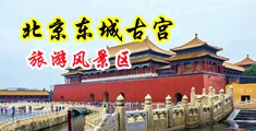 国产干逼免费视频中国北京-东城古宫旅游风景区